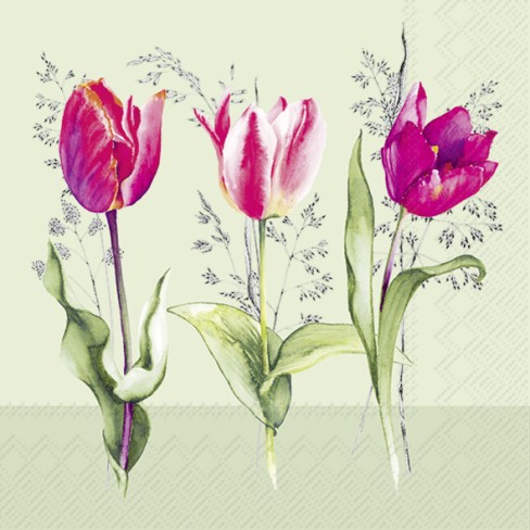 Салфетки 20бр Tulip Beauties зелени